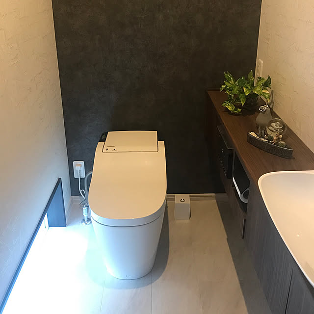 アラウーノ/Panasonic/トイレのインテリア/バス/トイレのインテリア実例 - 2020-12-08 07:41:48