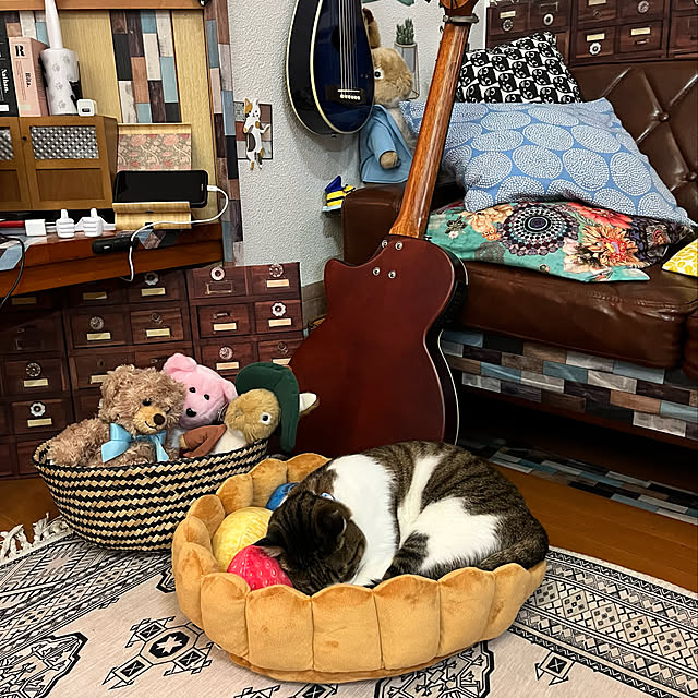 jijiさんの実例写真