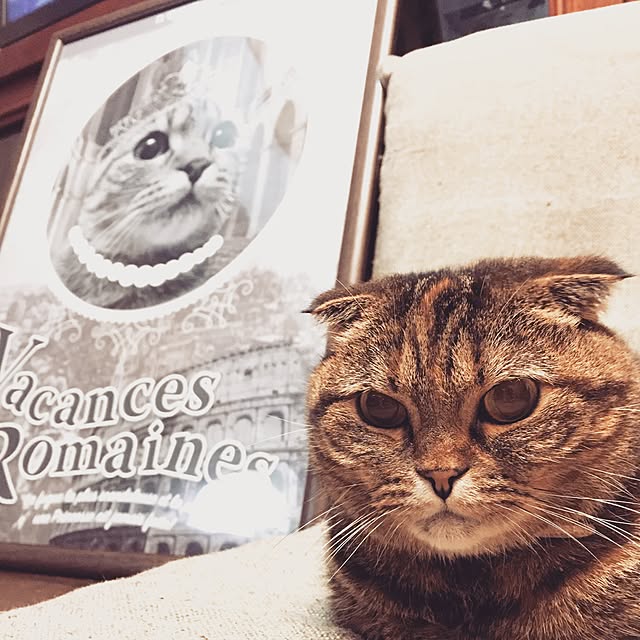 yuccoさんの実例写真
