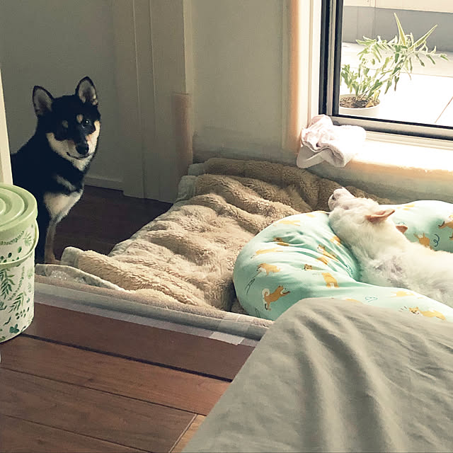 nuruiさんの実例写真
