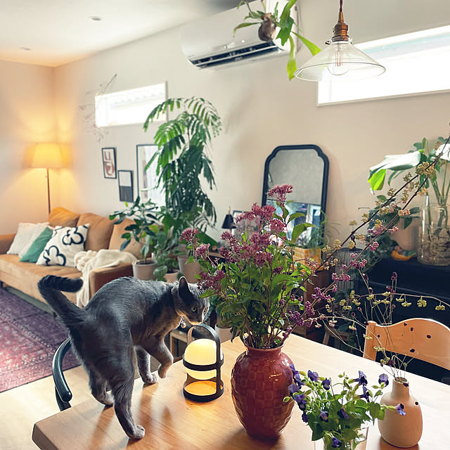 riri1989さんの実例写真