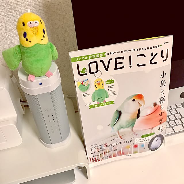 shirokinaさんの実例写真