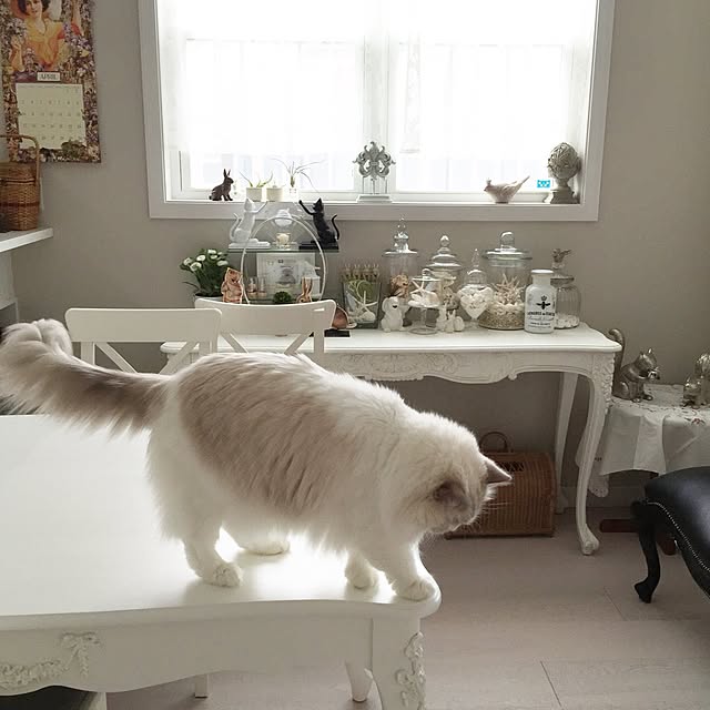 yuchiさんの実例写真