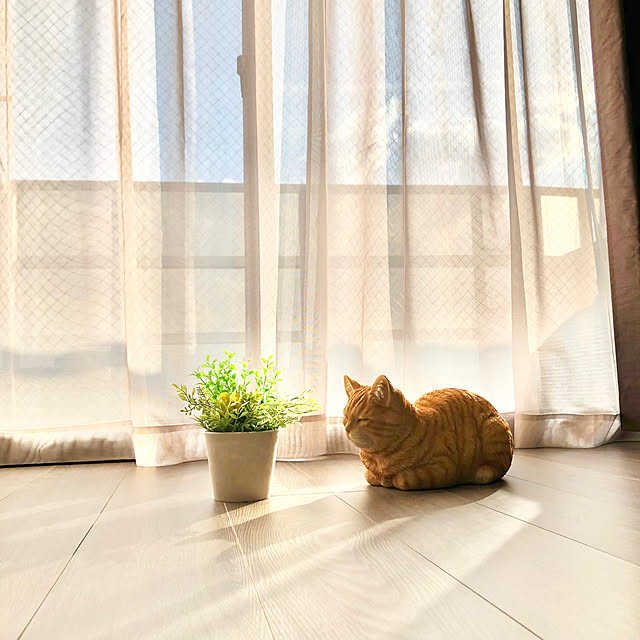 up0524さんの実例写真