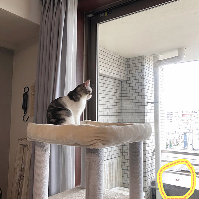 Atelier.mさんの実例写真