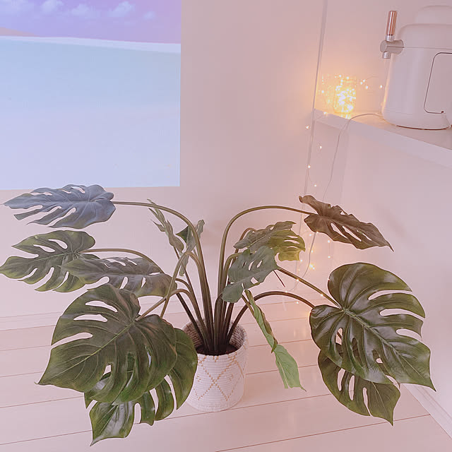 m1zuhomeさんの実例写真