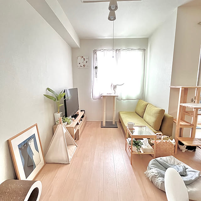 kiyomiさんの部屋