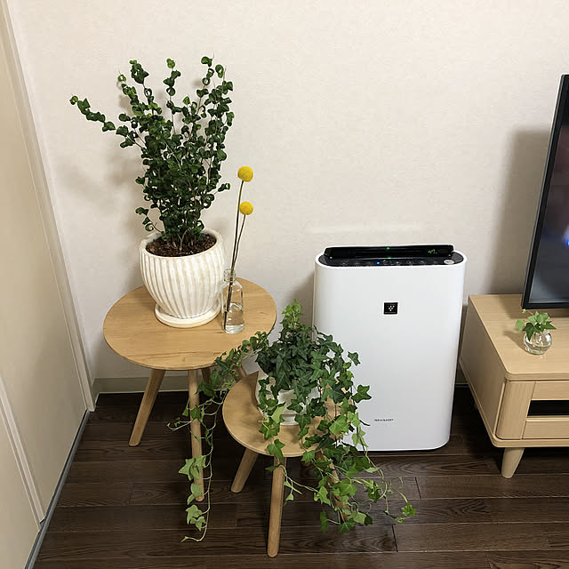 chelico410さんの実例写真