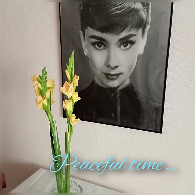 moruさんの実例写真