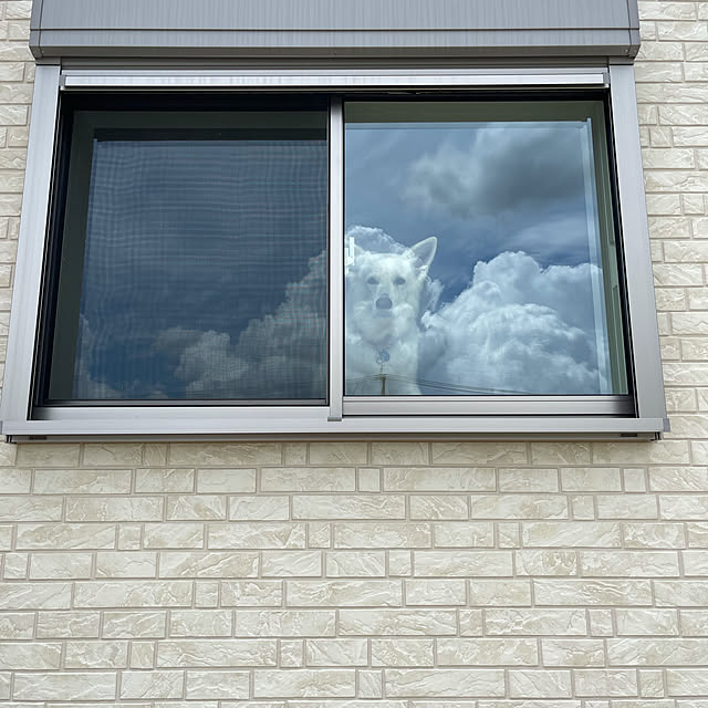 manekinekoさんの実例写真