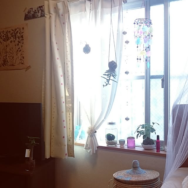 akinaさんの実例写真