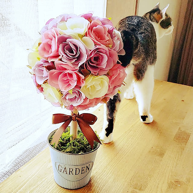 kiraさんの実例写真