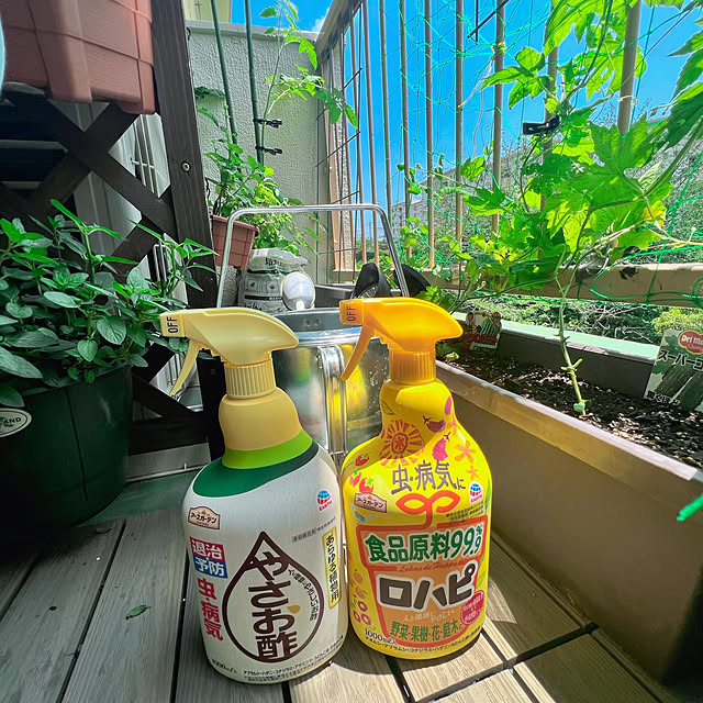 sumoanzuさんの実例写真