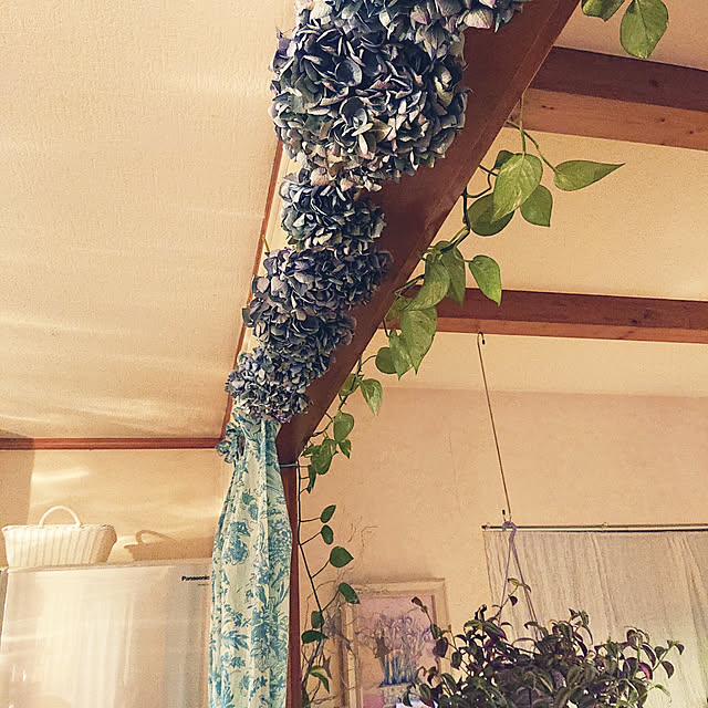 asaさんの実例写真
