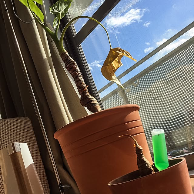 KJさんの実例写真