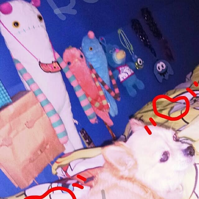 13LueQueenlolさんの実例写真