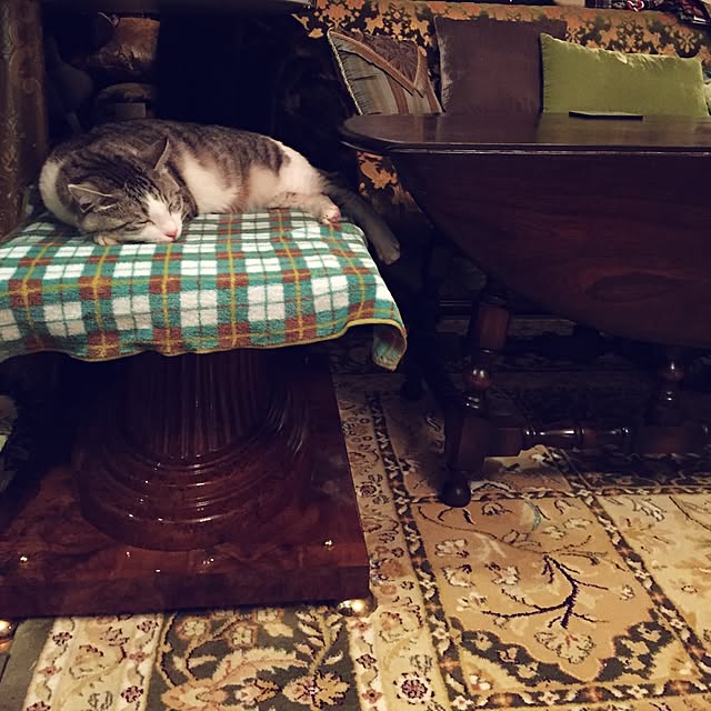 emmyyさんの実例写真
