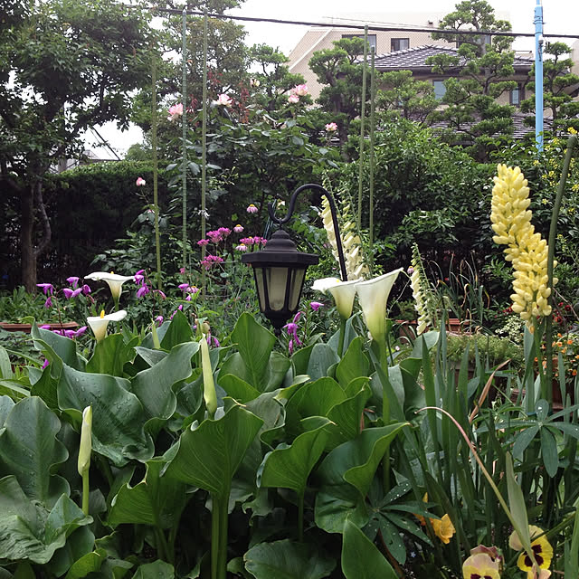 botanさんの部屋