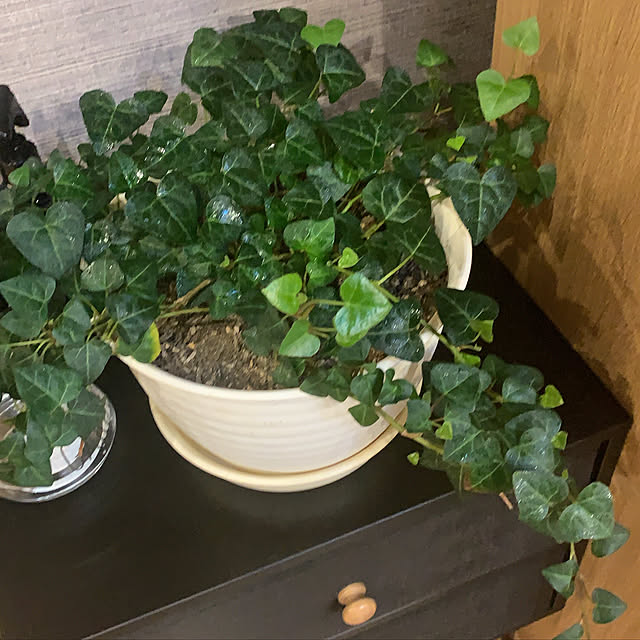 shin-chaa-mamaさんの実例写真