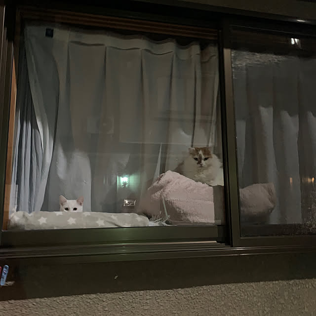 keiさんの実例写真