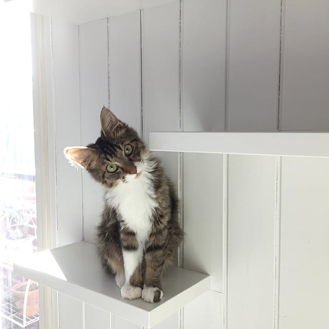 yuchiさんの実例写真