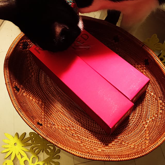 kimishigureさんの実例写真