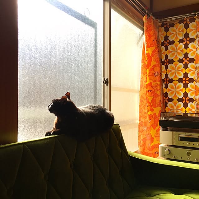 hilaさんの実例写真