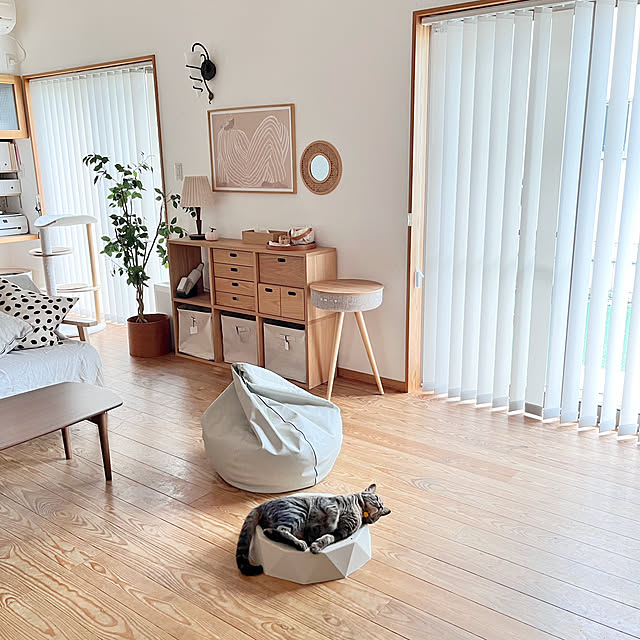 puu.tuuliさんの部屋