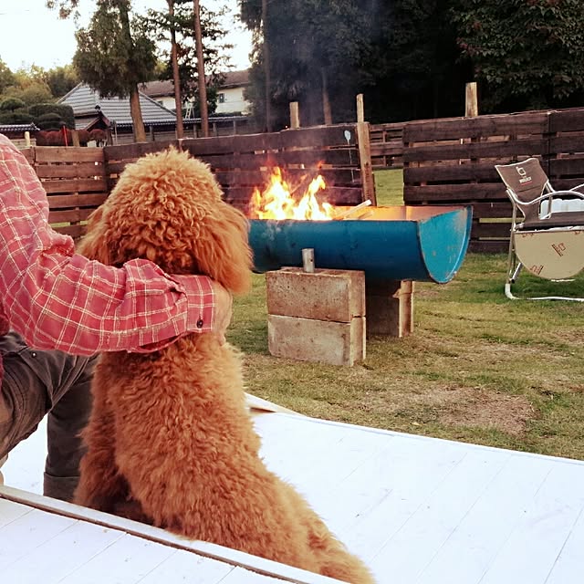 DogGardenBaByBooさんの実例写真