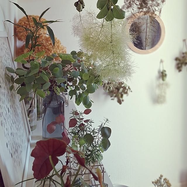 souさんの部屋
