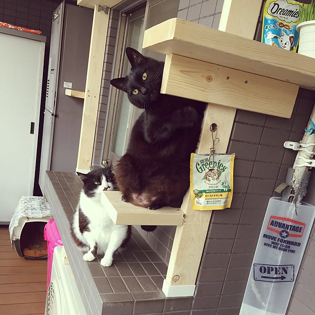 chirotanさんの実例写真