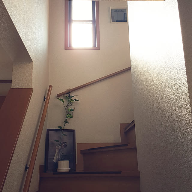 hanapanさんの実例写真
