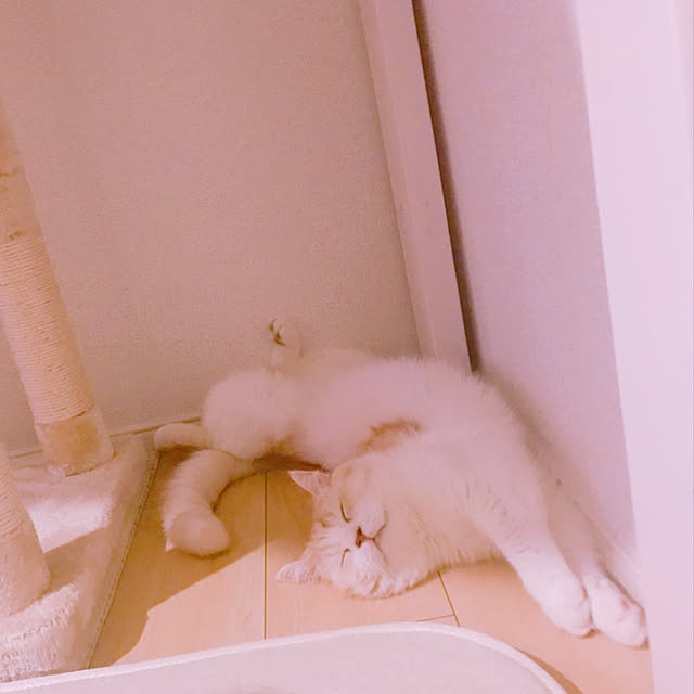 H.Tさんの実例写真