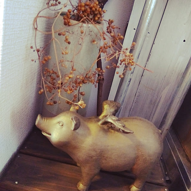 wkaijyukidsさんの実例写真