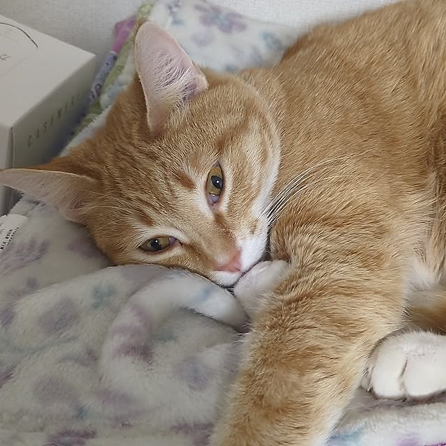 minnieさんの部屋