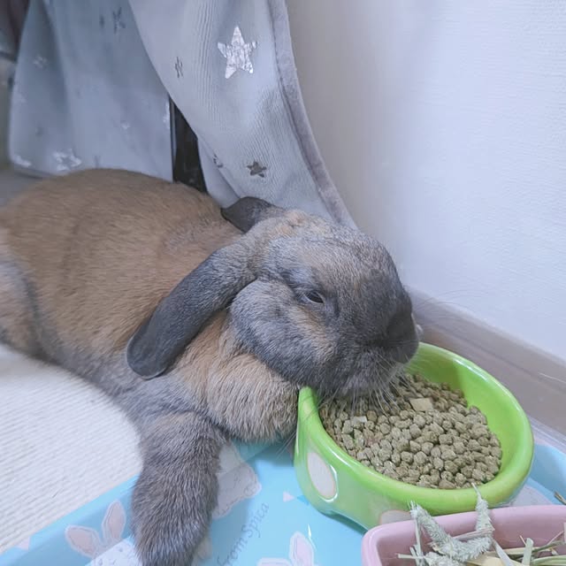mariaさんの実例写真