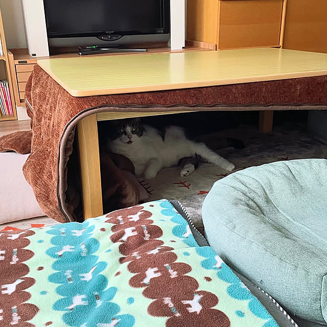 hemukoさんの実例写真