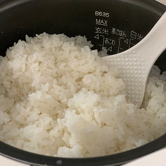 mogさんの部屋