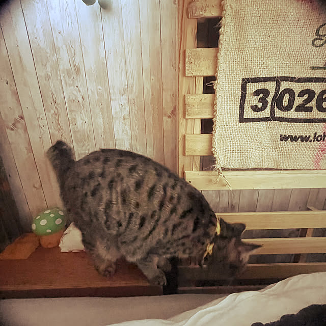 Mさんの部屋