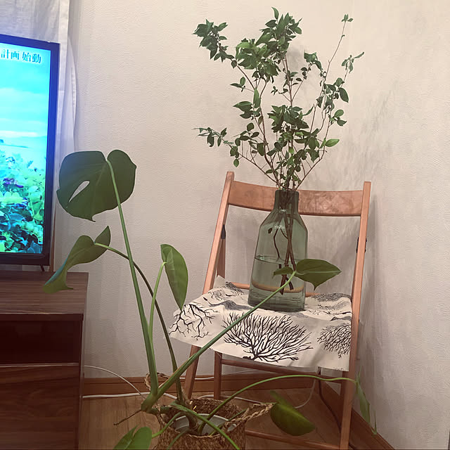 yo_1202さんの実例写真