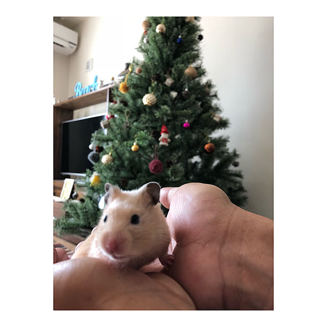 tomomi321さんの実例写真