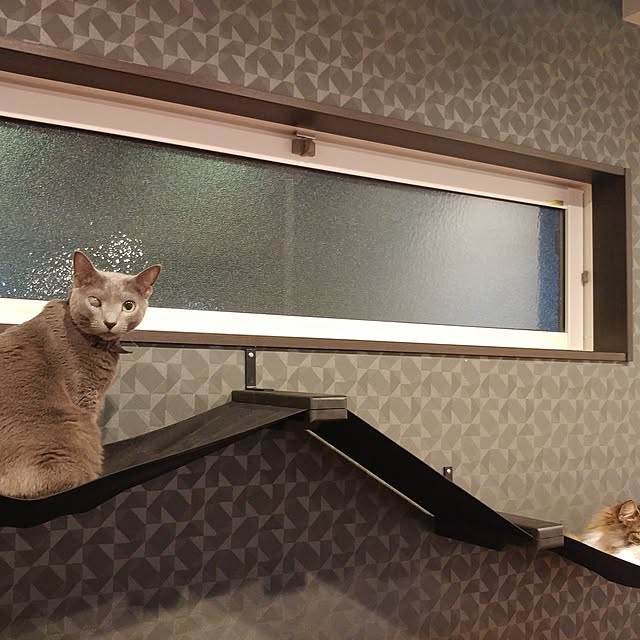 BLACKさんの実例写真