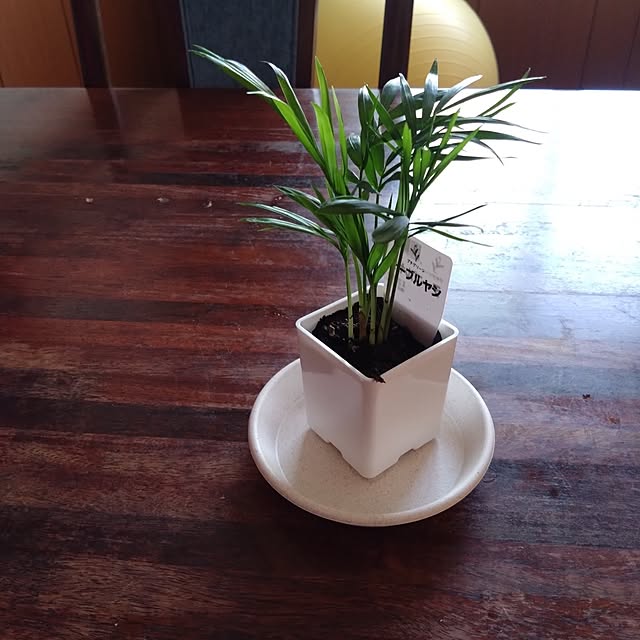 Rieさんの部屋