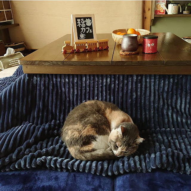 fukuさんの実例写真