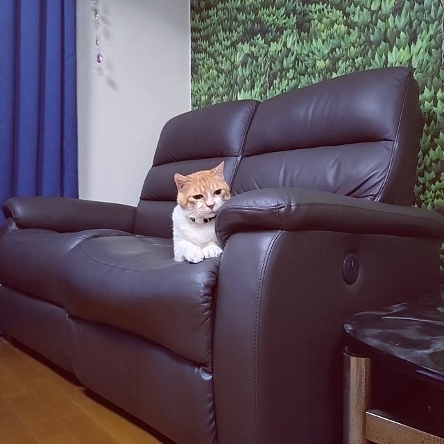 NOAHさんの部屋