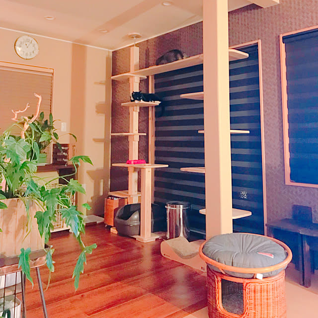 部屋全体のインテリア実例 - 2018-01-17 22:22:06
