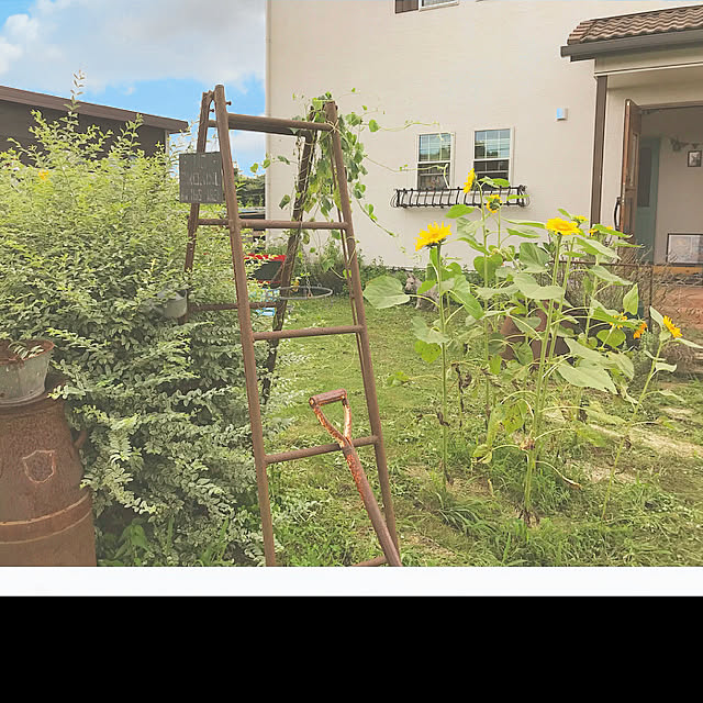 TOROさんの実例写真