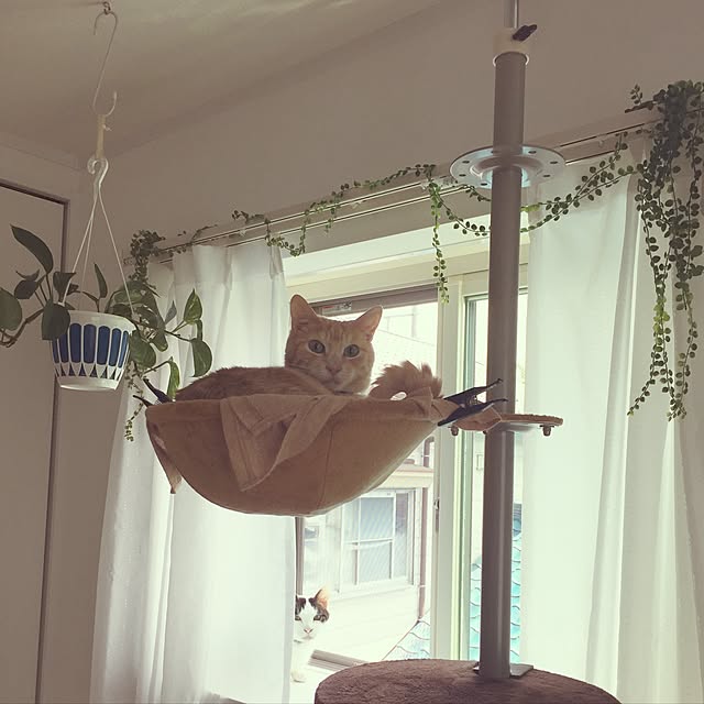 Minakoさんの実例写真