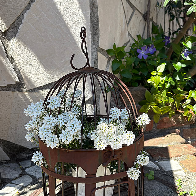 asuchan1022さんの実例写真