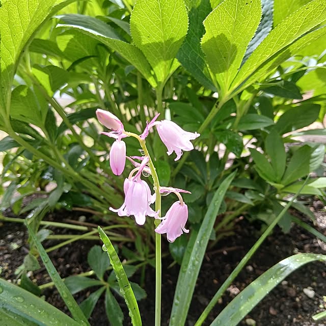 chidorinさんの部屋